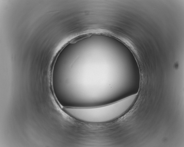 X0000089671046200706210749
