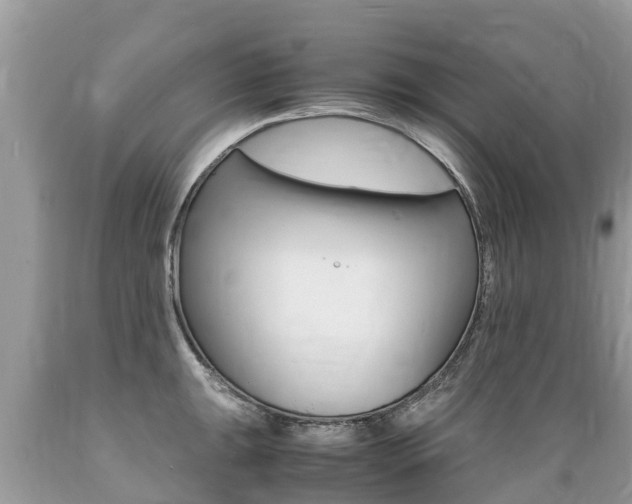 X0000089671047200706210749