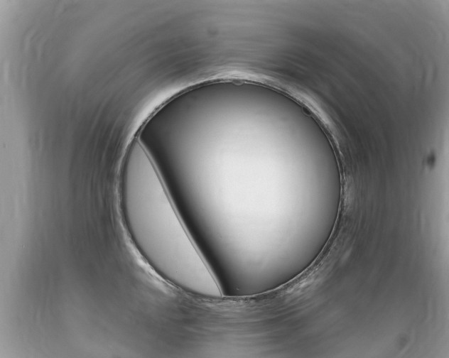 X0000089671048200706210749