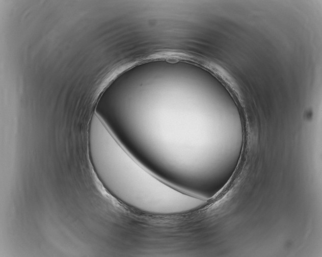 X0000089671049200706210749