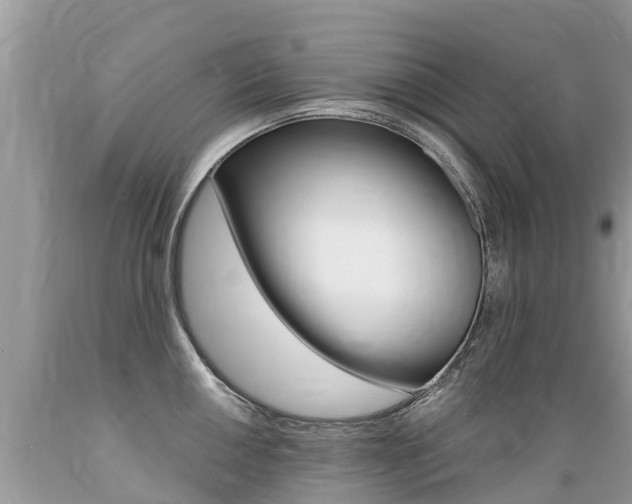 X0000089671050200706210749
