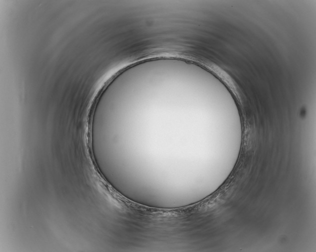 X0000089671051200706210749