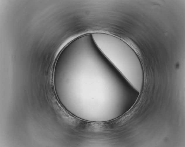 X0000089671052200706210749