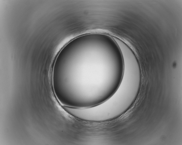 X0000089671054200706210749