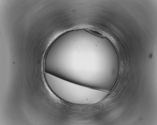 X0000089671055200706210749