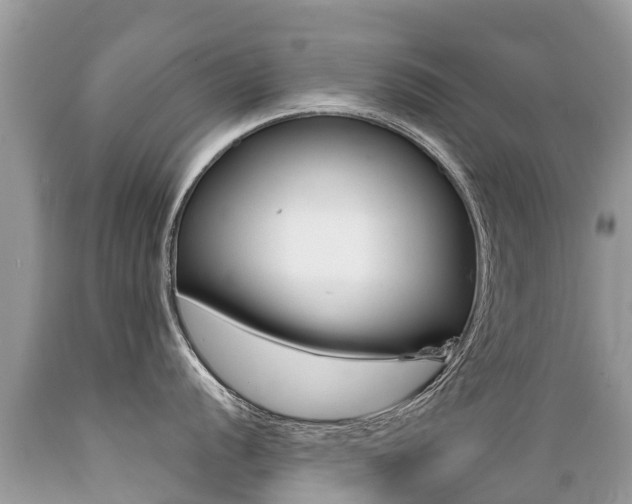 X0000089671056200706210749