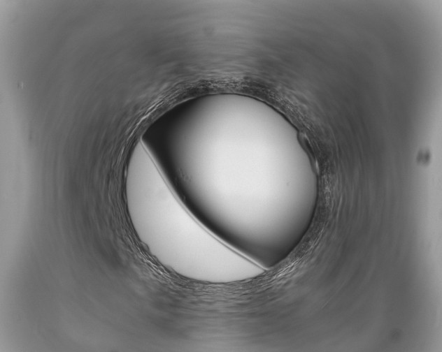 X0000089671057200706210748