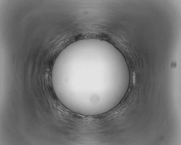 X0000089671059200706210748