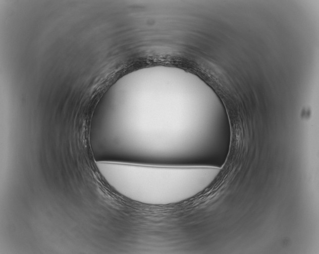 X0000089671060200706210748