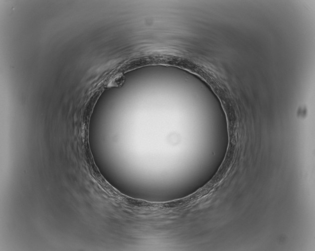 X0000089671061200706210748