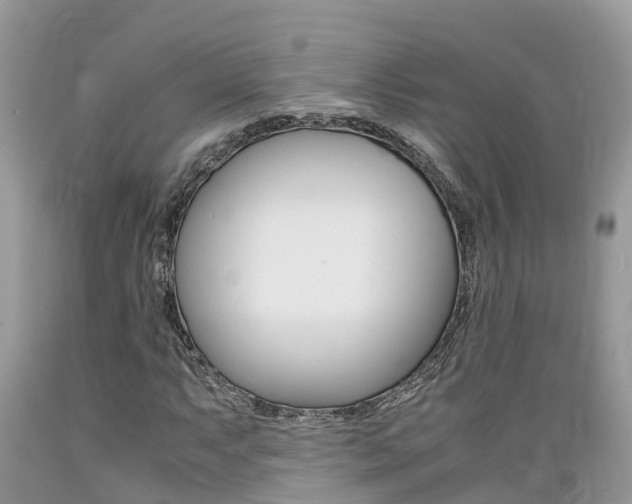 X0000089671063200706210748
