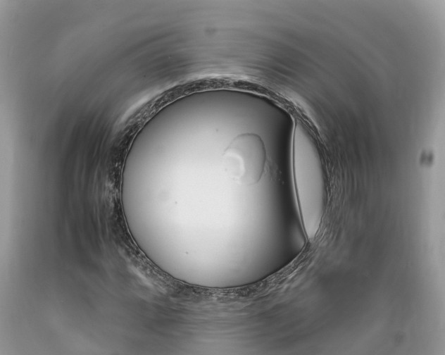 X0000089671064200706210748