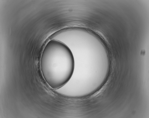 X0000089671065200706210748