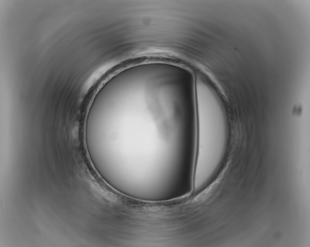 X0000089671066200706210748
