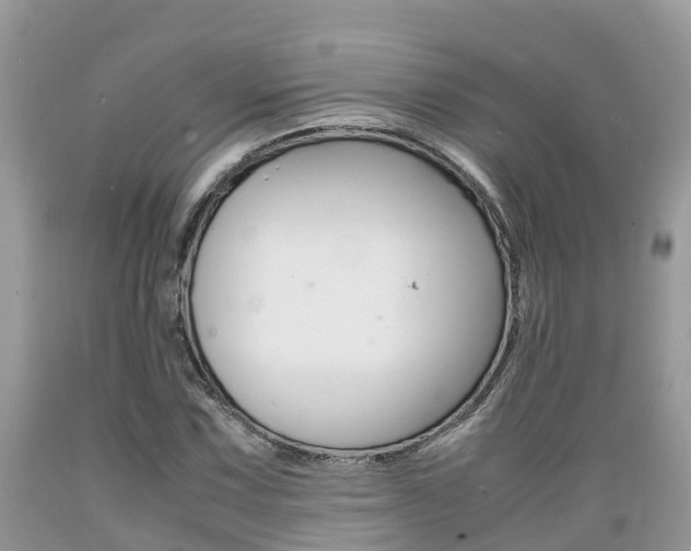 X0000089671067200706210748