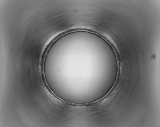 X0000089671068200706210748