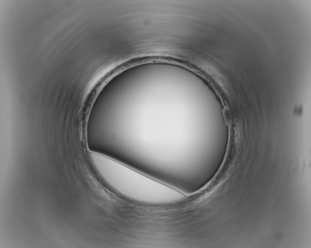 X0000089671069200706210748