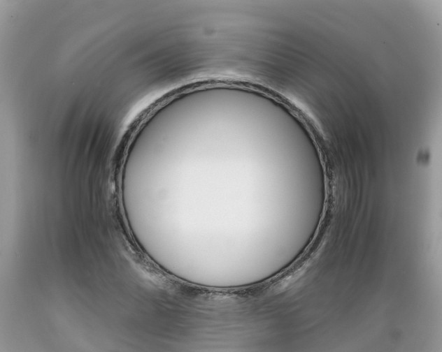 X0000089671070200706210748
