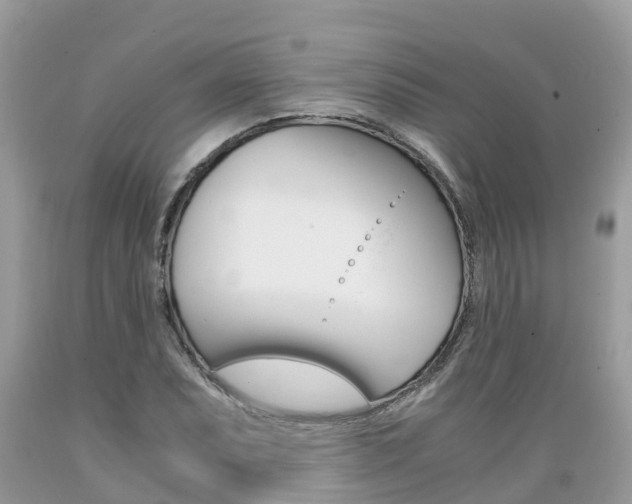 X0000089671071200706210748