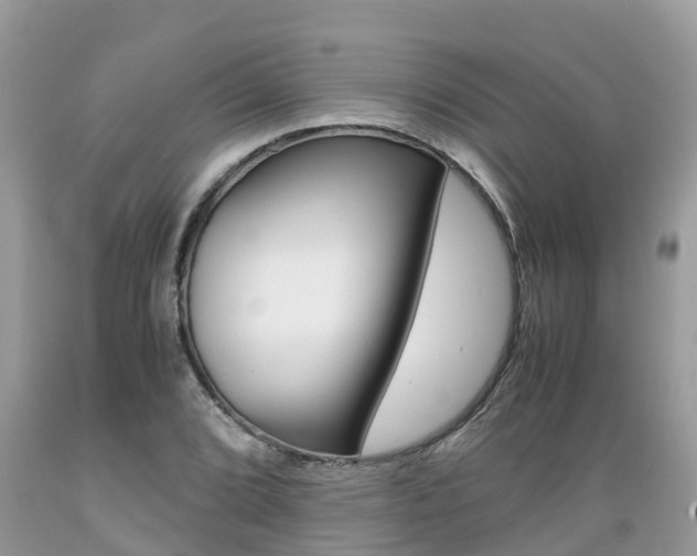 X0000089671072200706210748