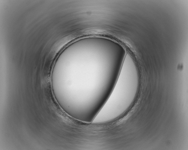 X0000089671073200706210748