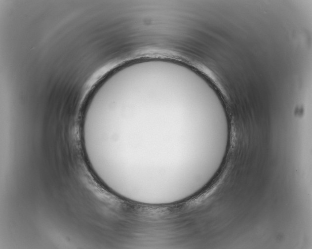 X0000089671074200706210748