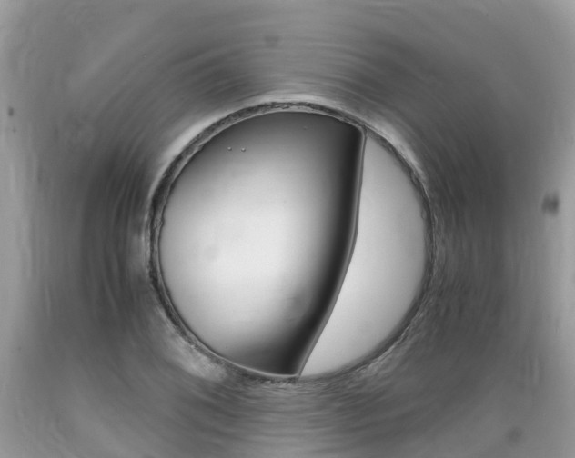 X0000089671076200706210748