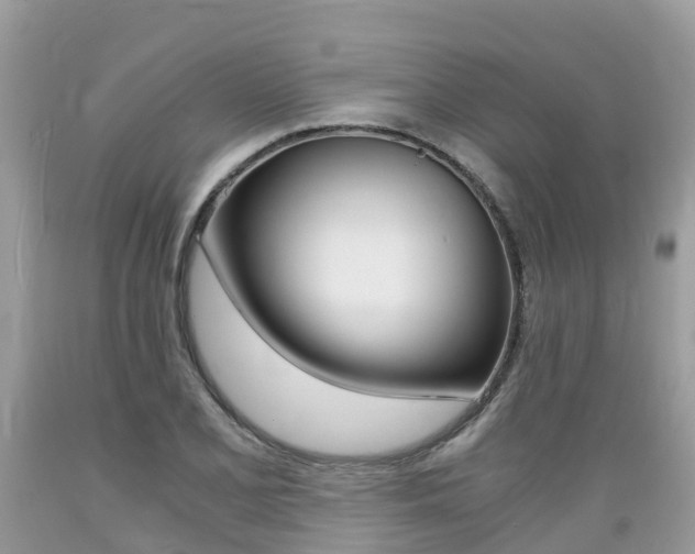 X0000089671077200706210748