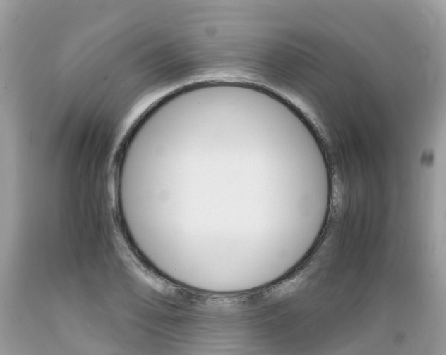 X0000089671078200706210748