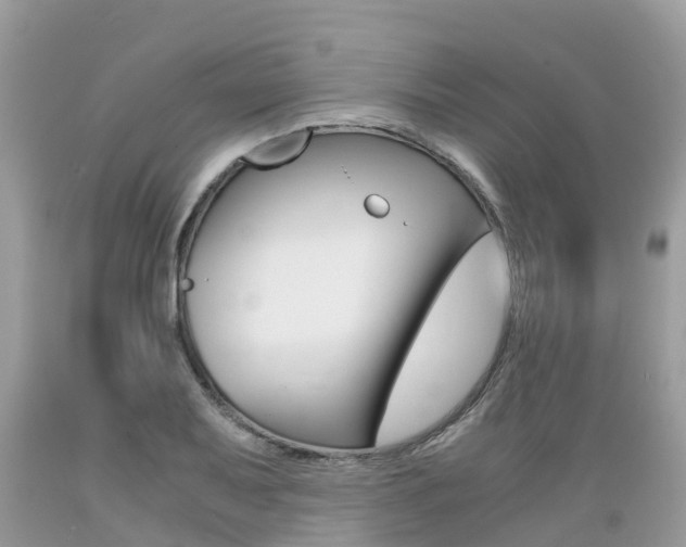 X0000089671079200706210748