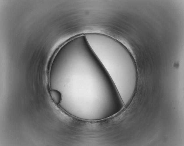 X0000089671080200706210748