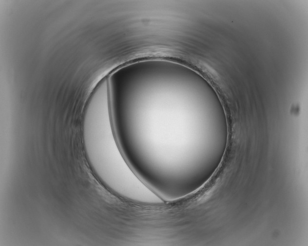 X0000089671081200706210748