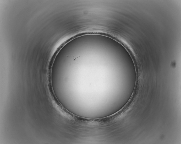 X0000089671085200706210747