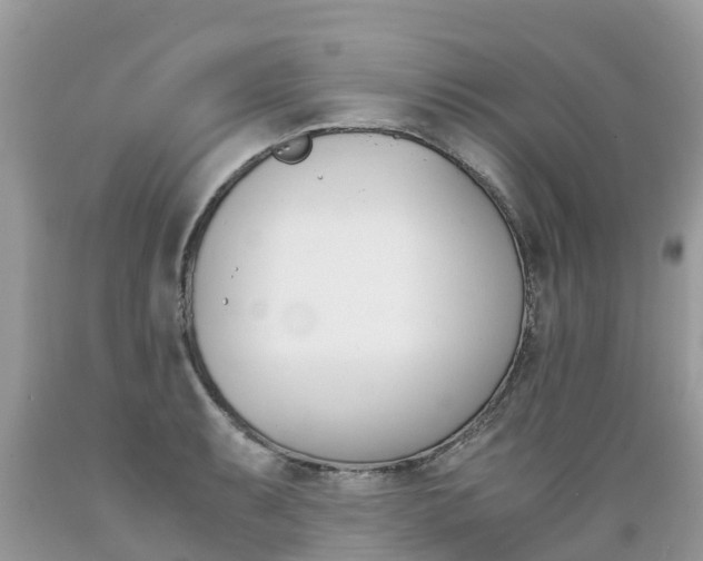 X0000089671087200706210747