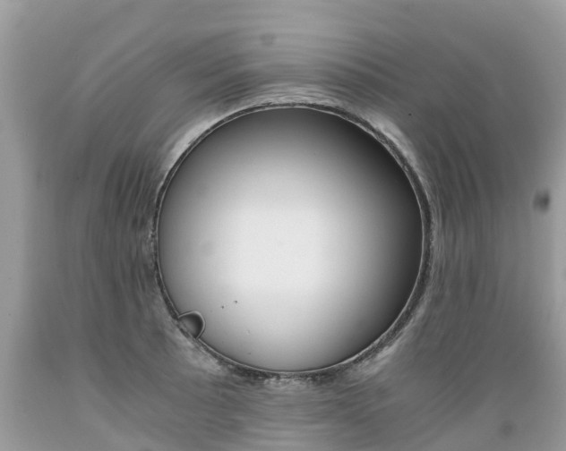 X0000089671089200706210747