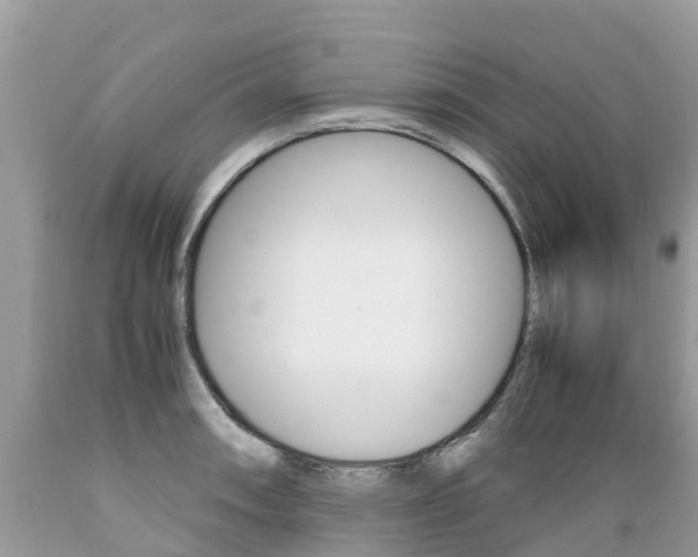X0000089671090200706210747