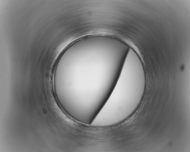 X0000089671091200706210747