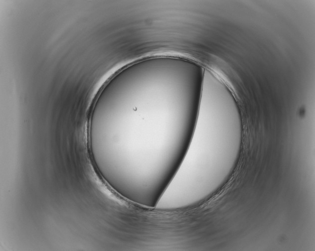 X0000089671092200706210747