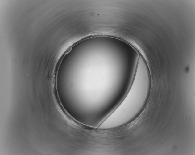 X0000089671093200706210747