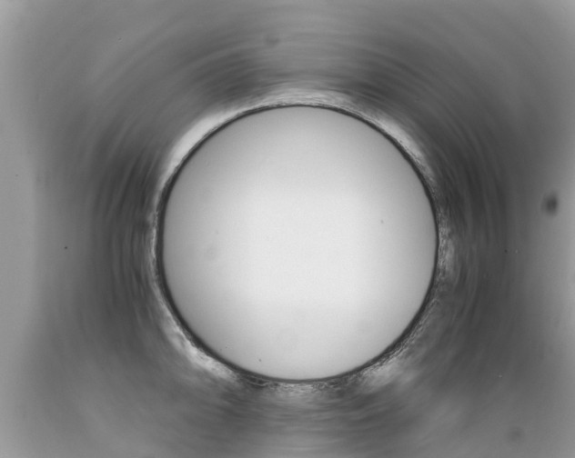 X0000089671094200706210747