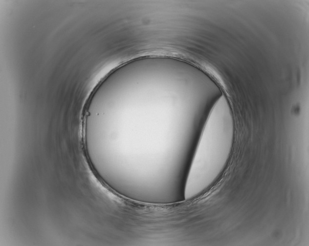 X0000089671095200706210747