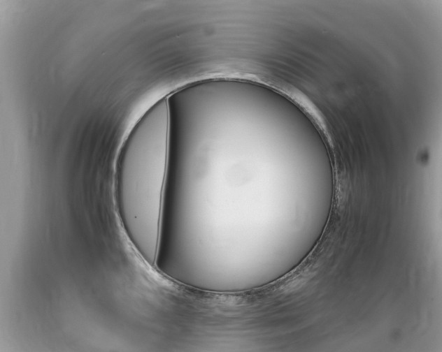 X0000089671096200706210747