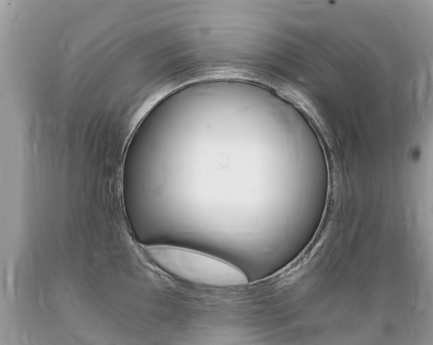X0000089671097200706210747
