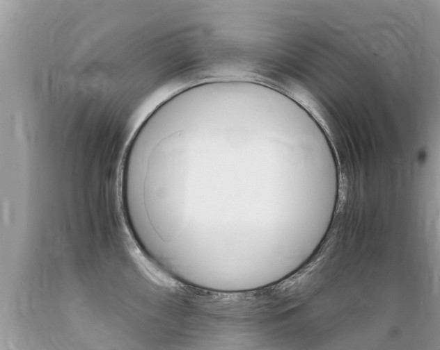X0000089671098200706210747