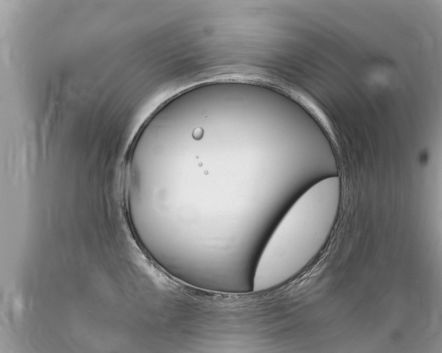 X0000089671099200706210747