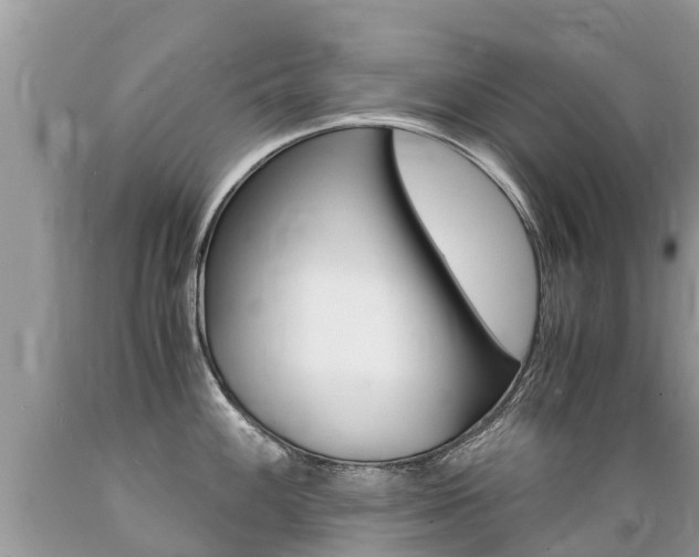 X0000089671100200706210747
