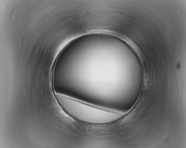 X0000089671102200706210747