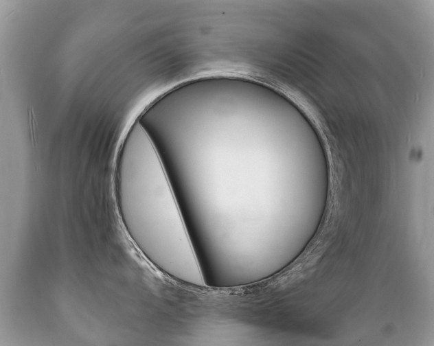X0000089671104200706210747