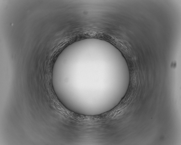 X0000089671105200706210746