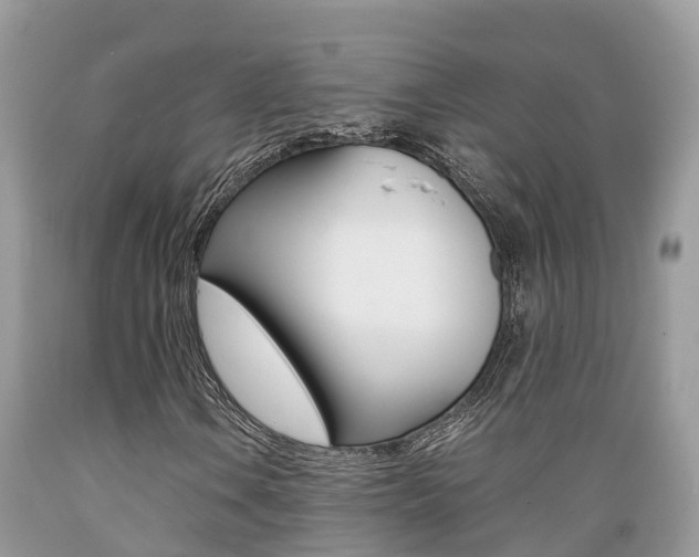 X0000089671106200706210746